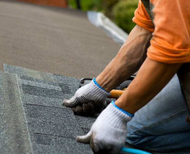 Best Local Roofing Companies  in Arabi, LA